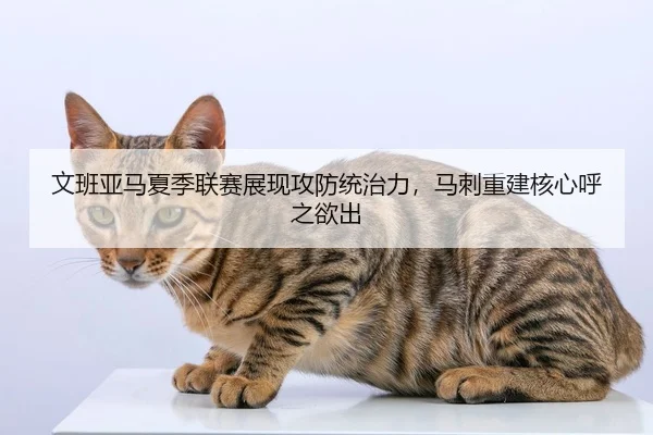 文班亚马夏季联赛展现攻防统治力，马刺重建核心呼之欲出