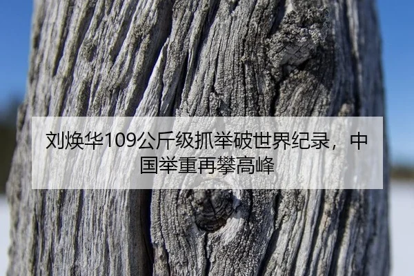 刘焕华109公斤级抓举破世界纪录，中国举重再攀高峰
